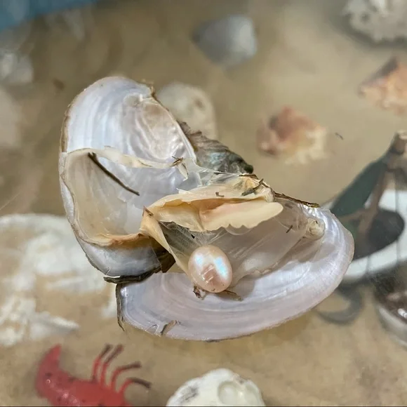 Chasteness Fortune Pearl fortune jewelry set necklace earrings and ring - Picture 13 of 17